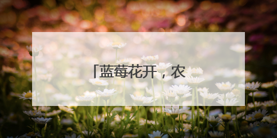 蓝莓花开，农民增收笑开怀