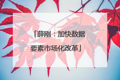 薛刚：加快数据要素市场化改革