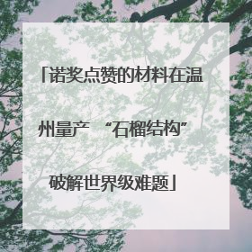 诺奖点赞的材料在温州量产 “石榴结构”破解世界级难题