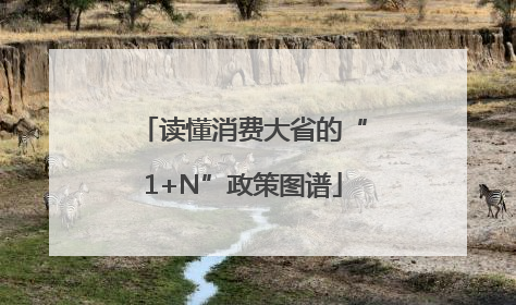 读懂消费大省的“1+N”政策图谱