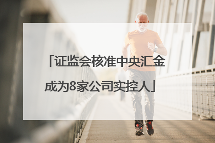 证监会核准中央汇金成为8家公司实控人