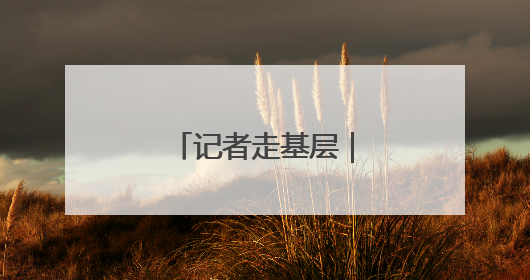记者走基层｜玫瑰“链”三产 村民日子甜
