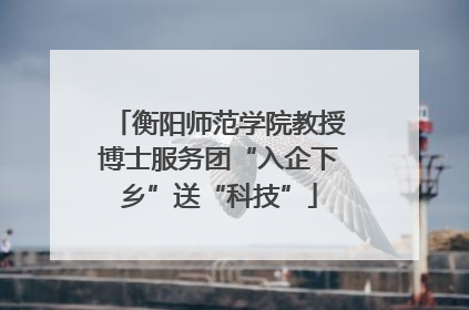 衡阳师范学院教授博士服务团“入企下乡”送“科技”