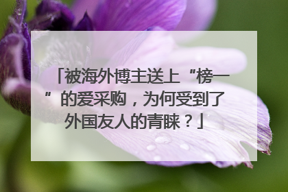 被海外博主送上“榜一”的爱采购，为何受到了外国友人的青睐？