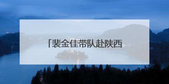 裴金佳带队赴陕西调研退役军人工作