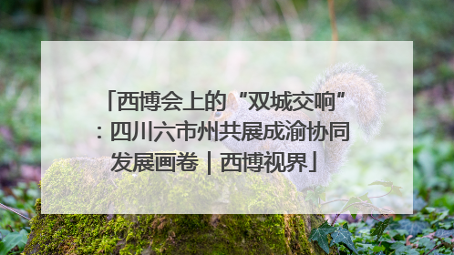 西博会上的“双城交响”：四川六市州共展成渝协同发展画卷｜西博视界