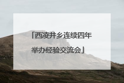 西凌井乡连续四年举办经验交流会
