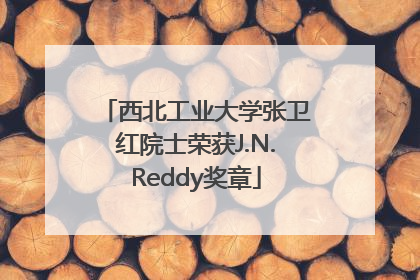 西北工业大学张卫红院士荣获J.N.Reddy奖章