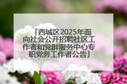西城区2025年面向社会公开招聘社区工作者和党群服务中心专职党务工作者公告