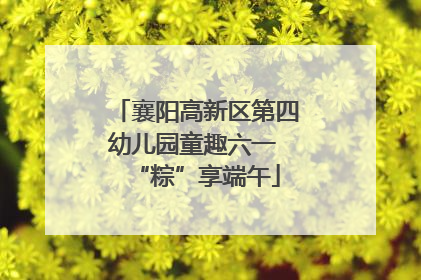襄阳高新区第四幼儿园童趣六一 “粽”享端午