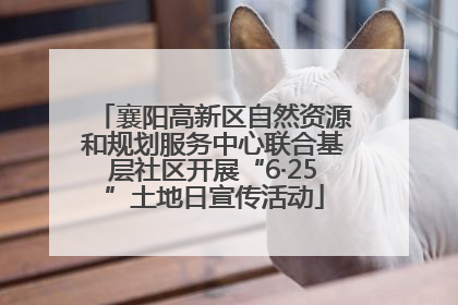 襄阳高新区自然资源和规划服务中心联合基层社区开展“6·25”土地日宣传活动
