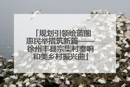 规划引领绘蓝图 惠民举措筑新篇——徐州丰县宗集村奏响和美乡村振兴曲
