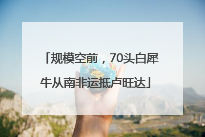 规模空前，70头白犀牛从南非运抵卢旺达