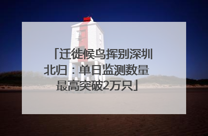 迁徙候鸟挥别深圳北归：单日监测数量最高突破2万只