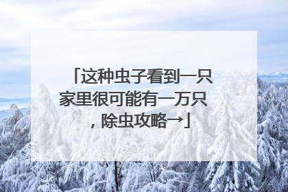这种虫子看到一只家里很可能有一万只，除虫攻略→