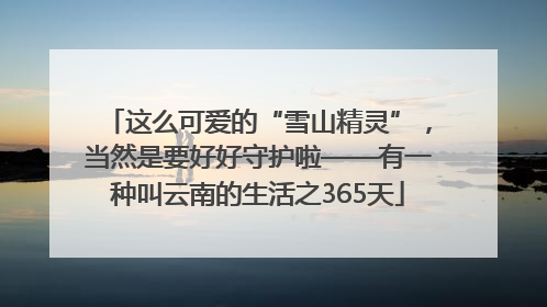 这么可爱的“雪山精灵”，当然是要好好守护啦——有一种叫云南的生活之365天