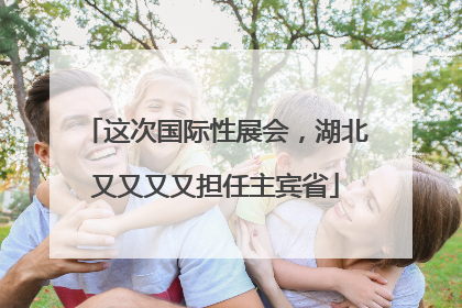 这次国际性展会，湖北又又又又担任主宾省