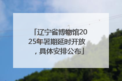 辽宁省博物馆2025年暑期延时开放，具体安排公布