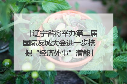 辽宁省将举办第二届国际友城大会进一步挖掘“经济外事”潜能