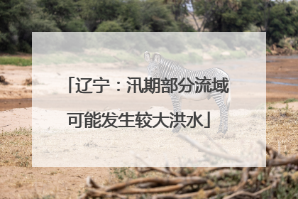 辽宁：汛期部分流域可能发生较大洪水