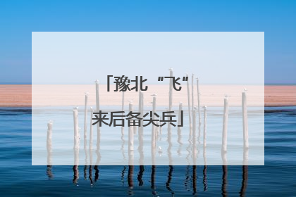豫北“飞”来后备尖兵
