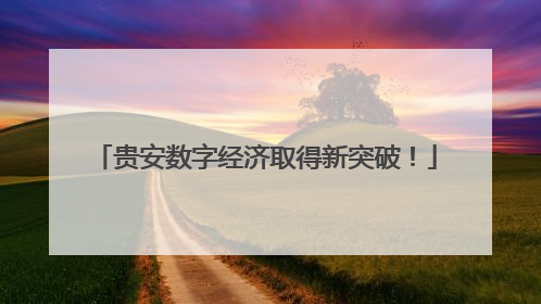 贵安数字经济取得新突破！