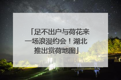 足不出户与荷花来一场浪漫约会！湖北推出赏荷地图