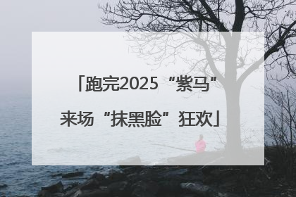 跑完2025“紫马” 来场“抹黑脸”狂欢
