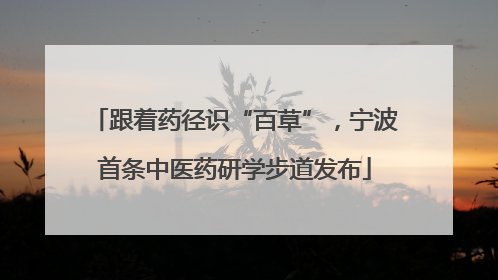 跟着药径识“百草”，宁波首条中医药研学步道发布