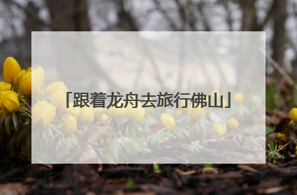 跟着龙舟去旅行佛山