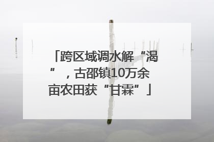 跨区域调水解“渴”，古邵镇10万余亩农田获“甘霖”