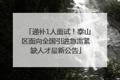 递补1人面试！泰山区面向全国引进急需紧缺人才最新公告