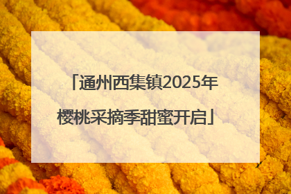 通州西集镇2025年樱桃采摘季甜蜜开启