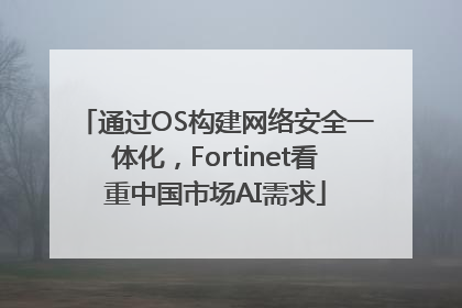 通过OS构建网络安全一体化，Fortinet看重中国市场AI需求