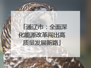 通辽市：全面深化能源改革闯出高质量发展新路