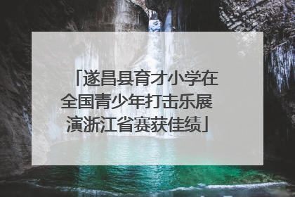 遂昌县育才小学在全国青少年打击乐展演浙江省赛获佳绩