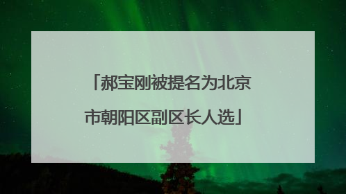 郝宝刚被提名为北京市朝阳区副区长人选