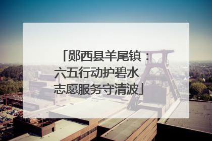 郧西县羊尾镇：六五行动护碧水 志愿服务守清波