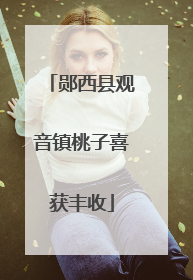 郧西县观音镇桃子喜获丰收