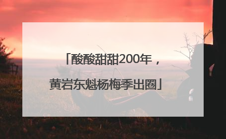 酸酸甜甜200年，黄岩东魁杨梅季出圈
