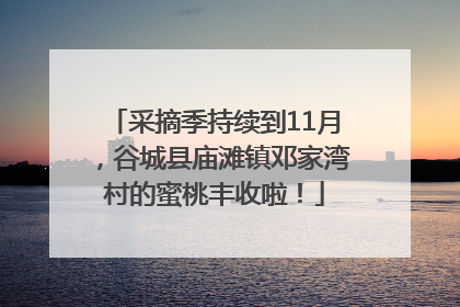 采摘季持续到11月，谷城县庙滩镇邓家湾村的蜜桃丰收啦！
