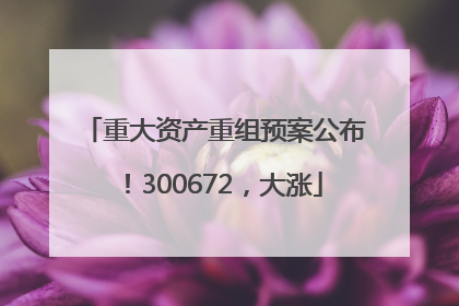 重大资产重组预案公布！300672，大涨