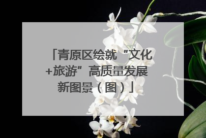 青原区绘就“文化+旅游”高质量发展新图景（图）