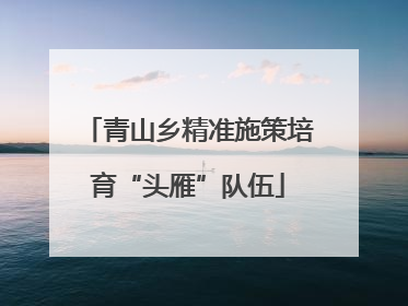 青山乡精准施策培育“头雁”队伍