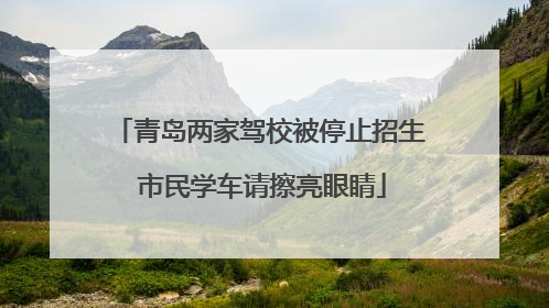 青岛两家驾校被停止招生 市民学车请擦亮眼睛