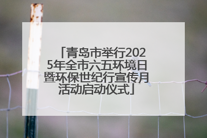 青岛市举行2025年全市六五环境日暨环保世纪行宣传月活动启动仪式