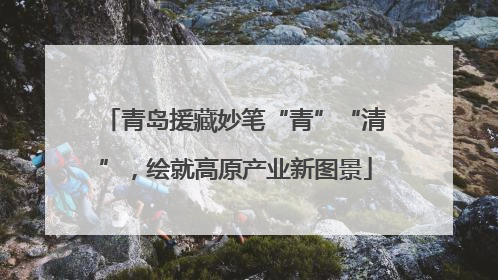 青岛援藏妙笔“青”“清”，绘就高原产业新图景