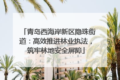 青岛西海岸新区隐珠街道：高效推进林业执法，筑牢林地安全屏障