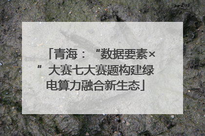 青海：“数据要素×”大赛七大赛题构建绿电算力融合新生态