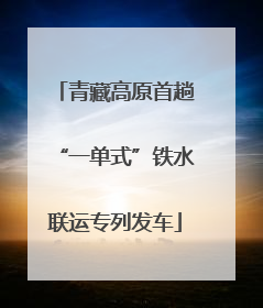青藏高原首趟“一单式”铁水联运专列发车
